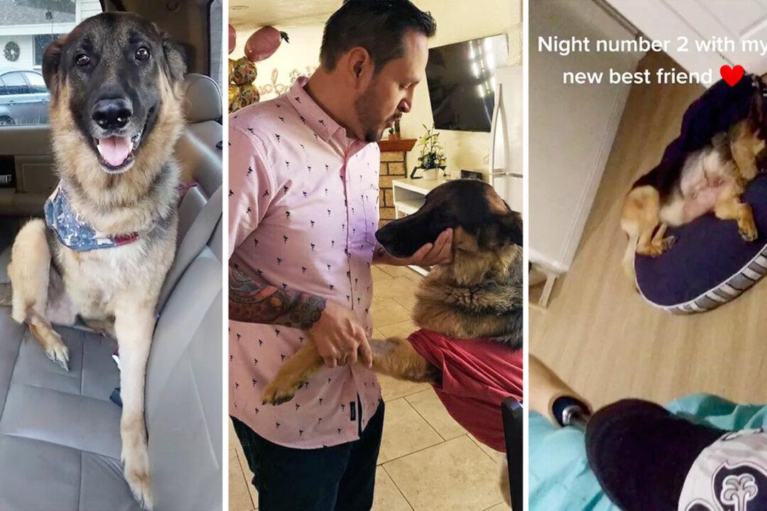 LA Man Suffers Depression After Losing Right Leg—Until Dog Who Lost His, Too, Brings New Joy