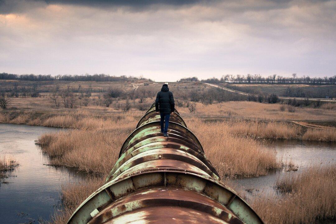 Fossil Fuels Are Back—Everywhere Except in the USA