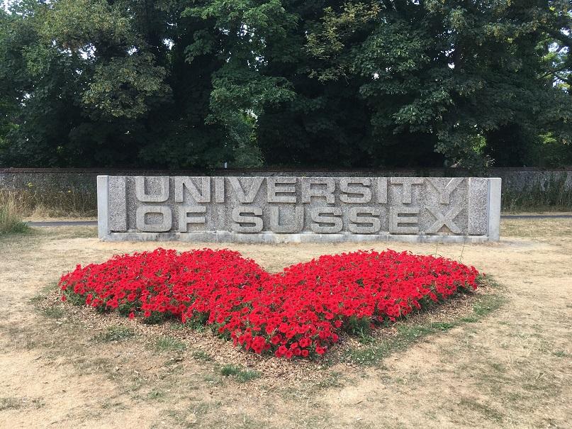 Today’s Orthodoxies Put Quotation Marks Around ‘Freedom’