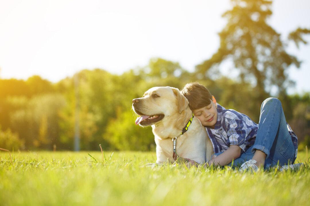 Parenting Matters: The Value of Pets