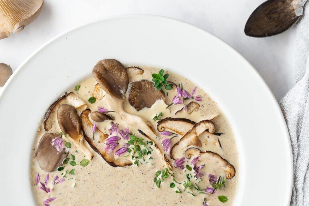 Wild About Mushrooms: Foraging and Cooking With Fall’s Hidden Treasures