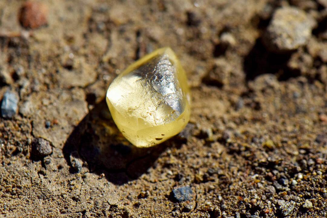 California Woman Finds 4.38-Carat Pear-Shaped Yellow Diamond on Ground in State Park