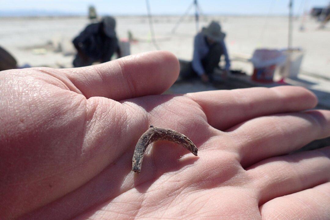 Hearth Site in Utah Desert Reveals Human Tobacco Use 12,300 Years Ago