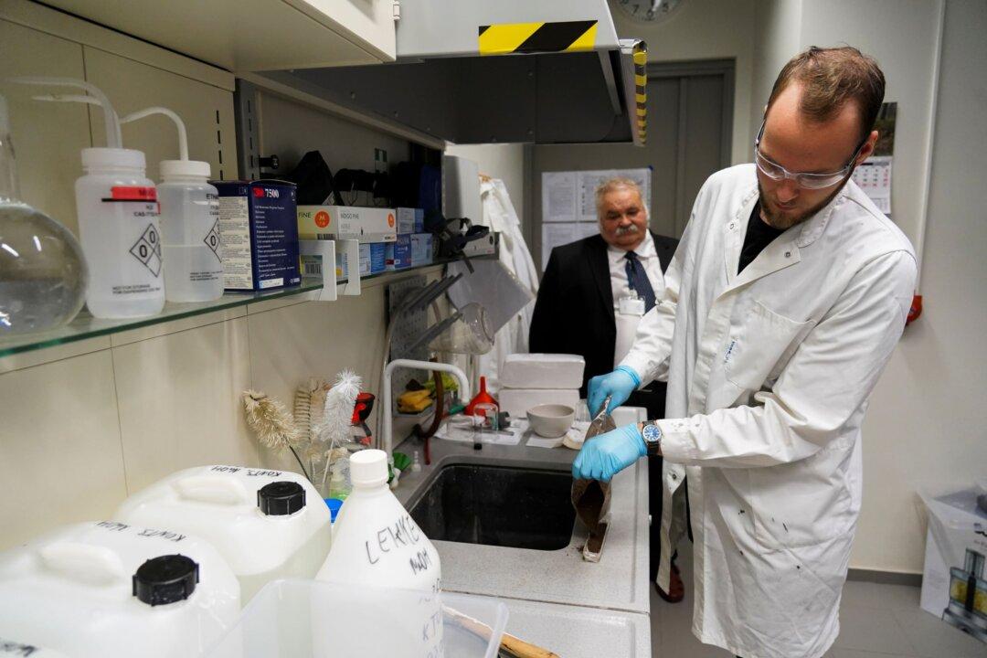 Energy From Bogs: Estonian Scientists Use Peat to Make Batteries