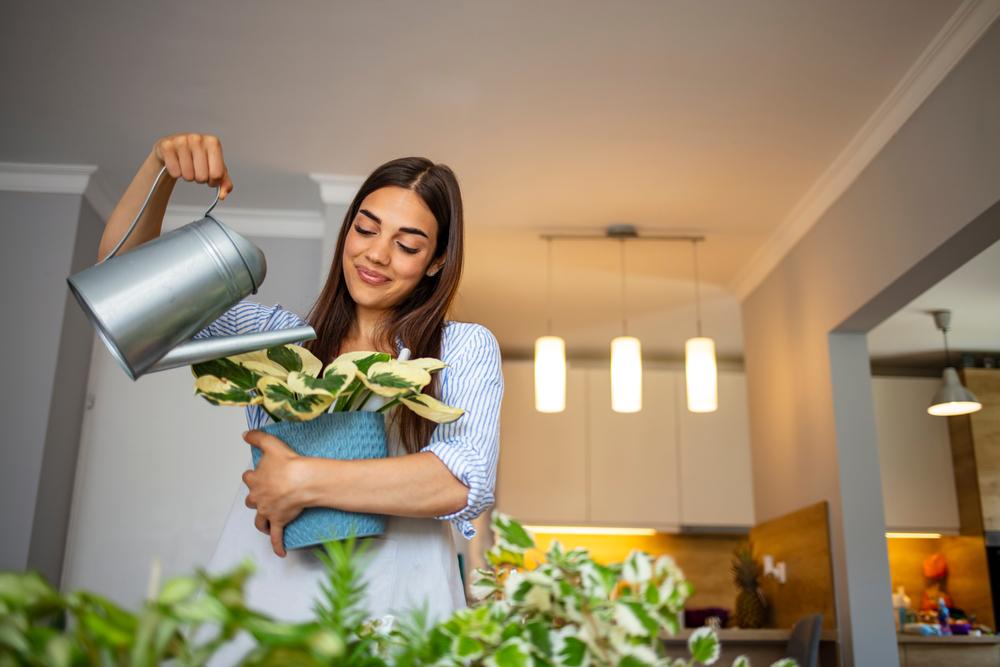 How to Get Rid of Fungus Gnats and Other Flowerpot Pests