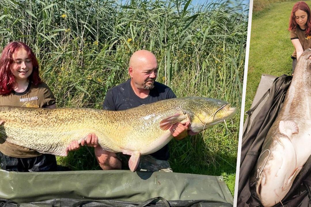 15-Year-Old UK Girl Reels In Massive 100lb Monster Catfish—And Its Bigger Than Her