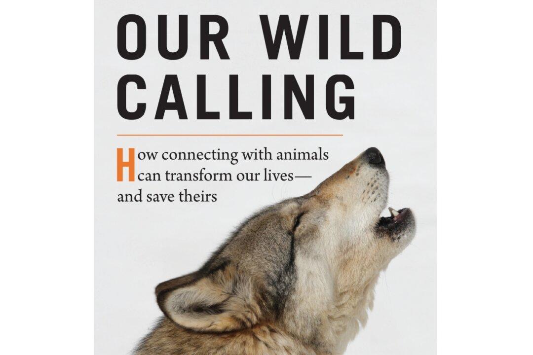Book Review: ‘Our Wild Calling’