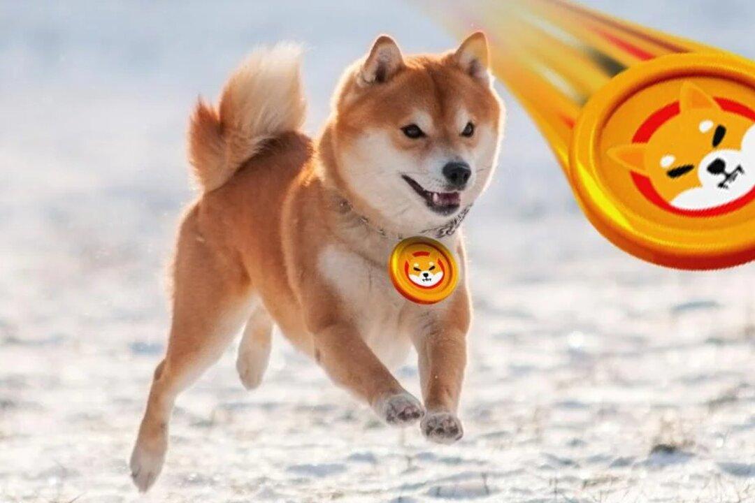 It’s Official! Online Retail Giant Newegg Confirms That It Will Accept Shiba Inu