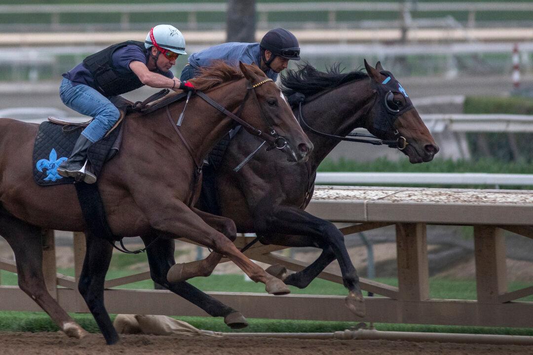 8th Horse Dies From Training Injury at Santa Anita Park This Year