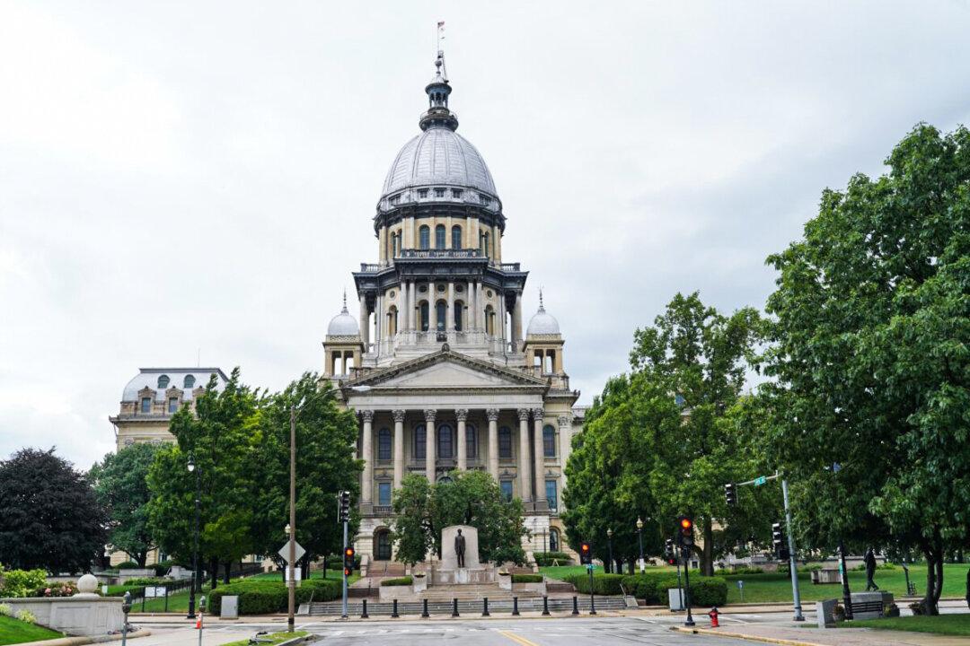 Illinois Democrat to Lose Committee Chair Following Domestic Violence Allegations