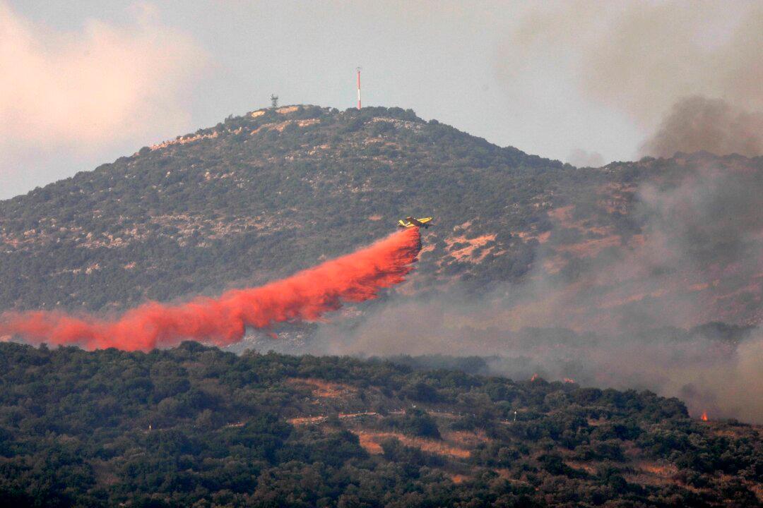 Syria Executes Dozens Over Deadly Human-Sparked Wildfires