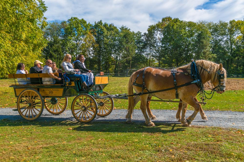 Lancaster, Pennsylvania: Good Food, Art, and Culture