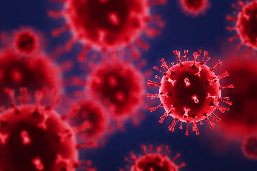 Academics Breaking the COVID Spell