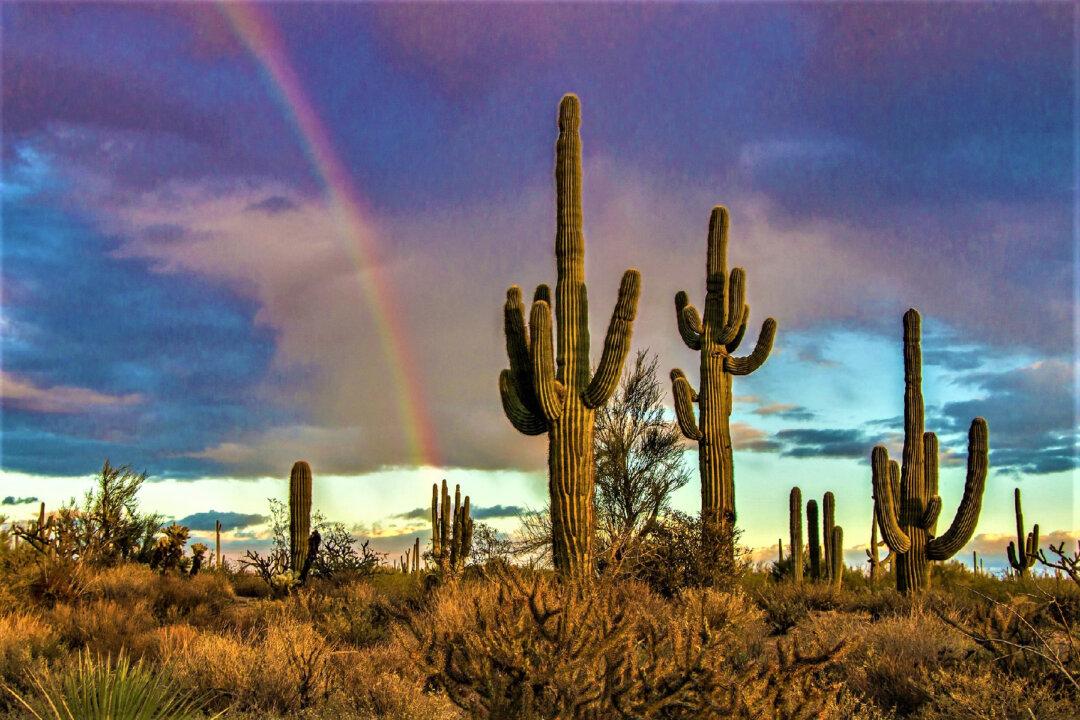 Old West Meets Modern Chic in Scottsdale, Arizona