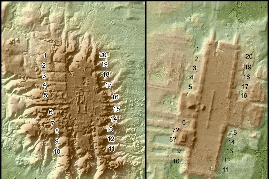 Remote-Sensing Reveals Details of Ancient Olmec Site in Mexico