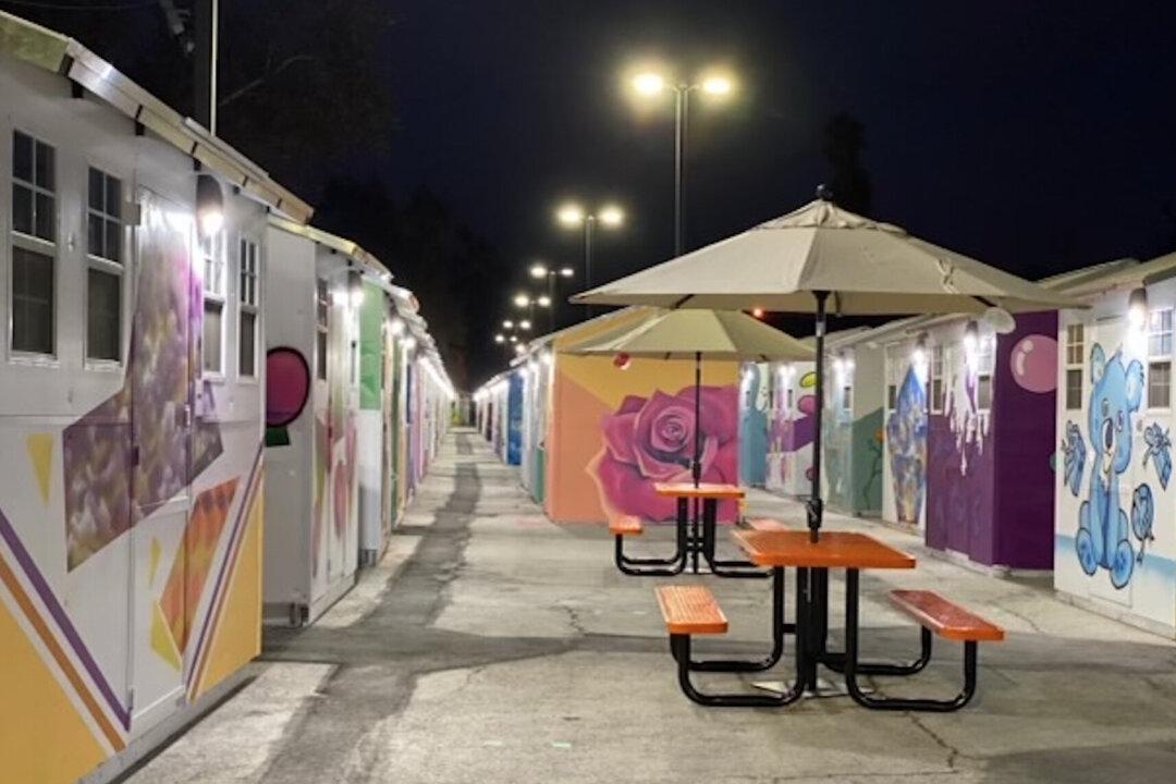Largest Tiny Home Village in US Opens in Los Angeles to House the Homeless