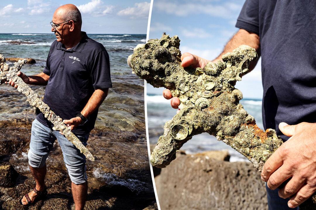 Amateur Diver Finds Encrusted Sword From the Crusades Believed to Be 900 Years Old off Coast of Israel