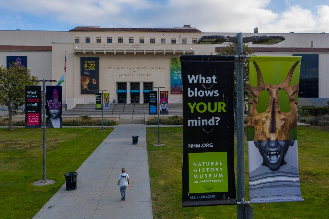 Los Angeles County Natural History Museum Seeks Help Naming Dinosaur Fossil