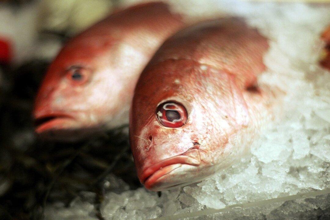 Gene Editing Industry Grows As Food Regulation Loosens