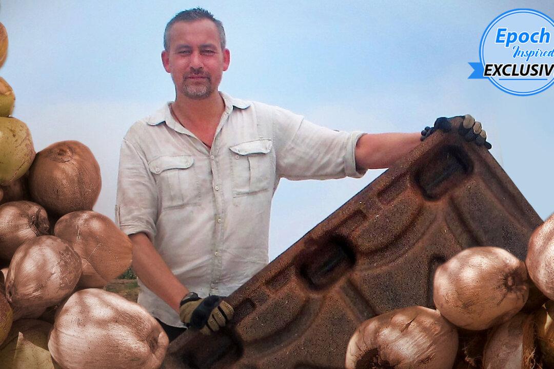 Dutchman Uses Worthless Coconut Husks to Make Profitable Pallets to ‘Save Millions of Trees’ per Year