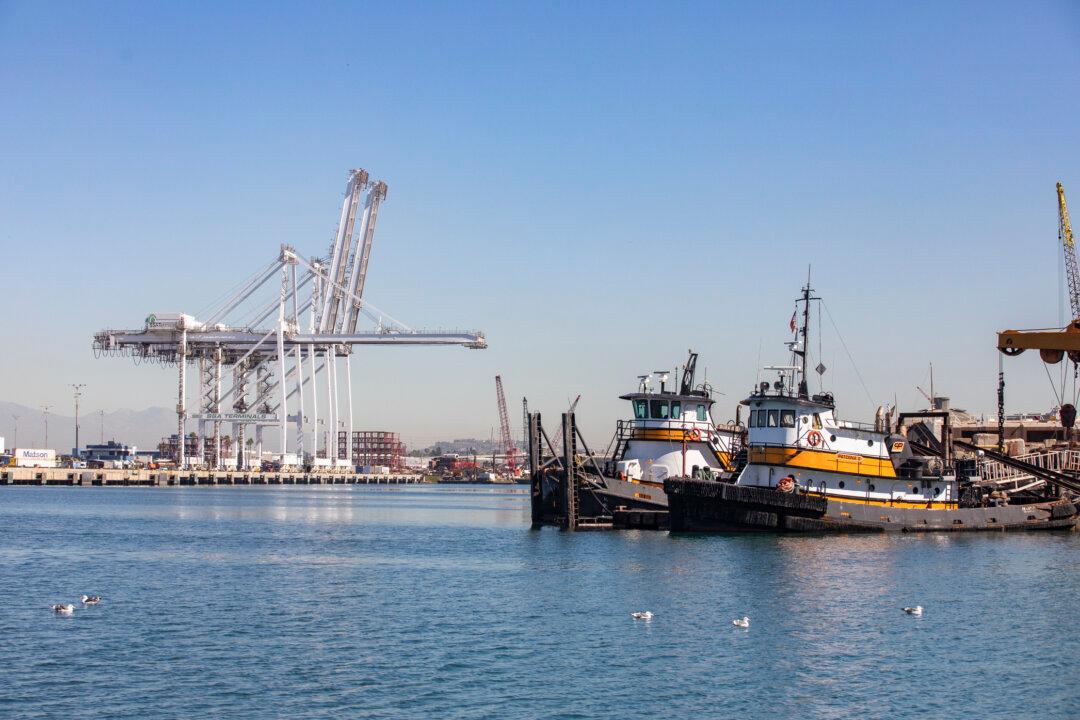 Shipping Rate Surge Could Derail Economic Recovery, Drive Up Inflation: UNCTAD