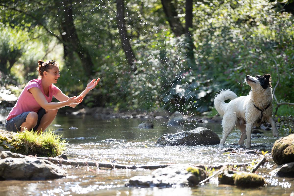 Nature-Based Activities Help Reduce Anxiety in Adults