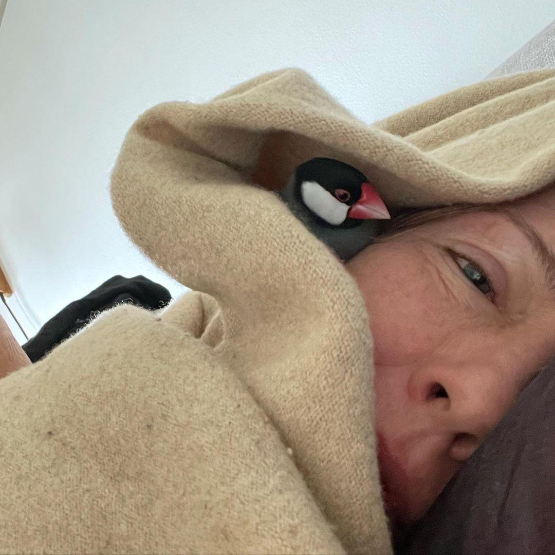 (Courtesy of <a href="https://www.instagram.com/mrbabysnuggles/">Carol Dumeyer</a>)