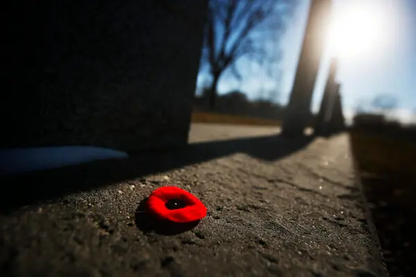Nova Scotia Chief Justices Support Judges Banning Employees From Wearing Poppies in Courtroom