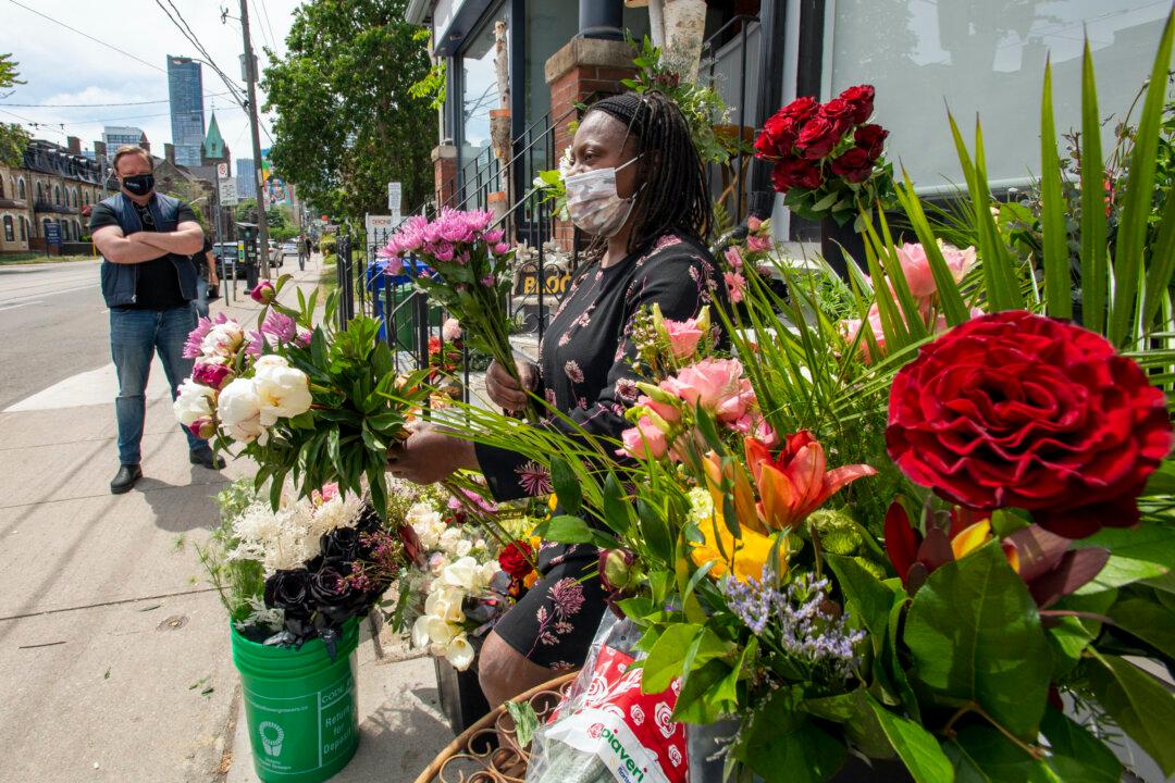 More Government Workers, Fewer Self-Employed: What That Means for Canada’s Economy