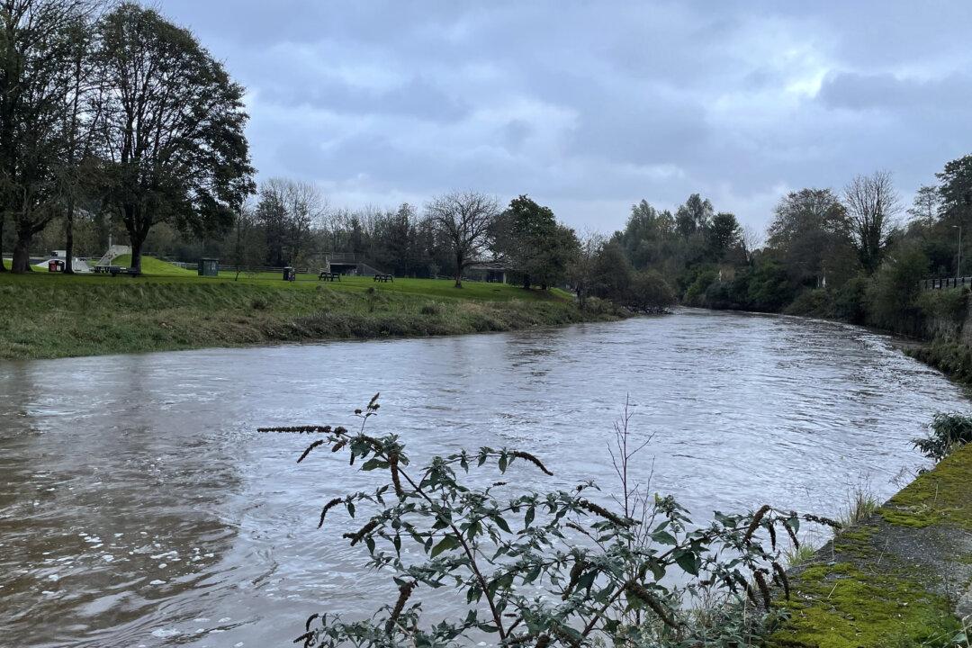 Government Announces Unlimited Penalties for Environmental Polluters