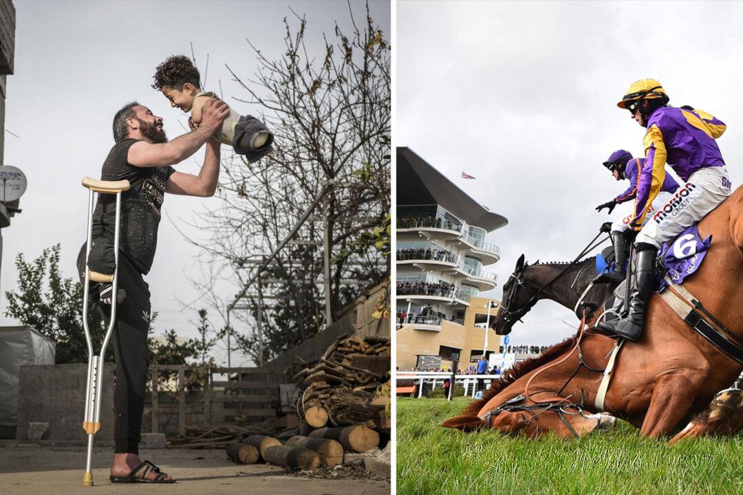 ‘Hardship of Life’: Touching Photos From Far Corners of the World Win International Photo Competition