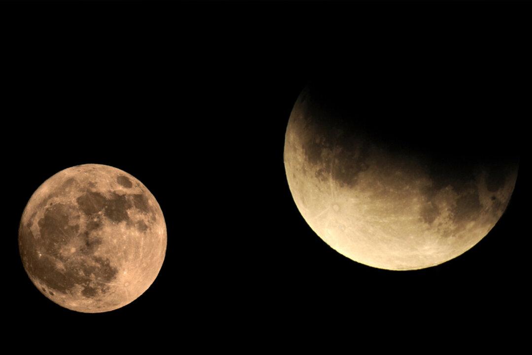 Beaver Moon Lunar Eclipse 2021: When and How To Watch in North America This Week