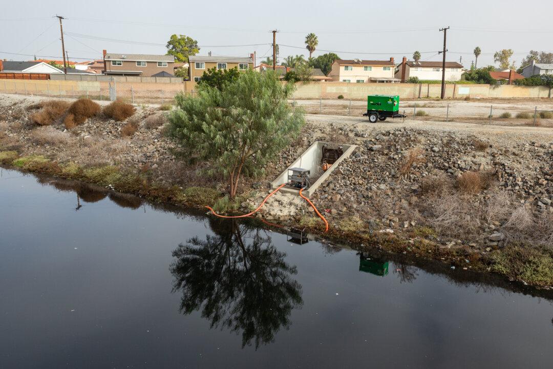 Researchers Devise Method to Cleanse Toxic ‘Forever Chemicals’ From Water