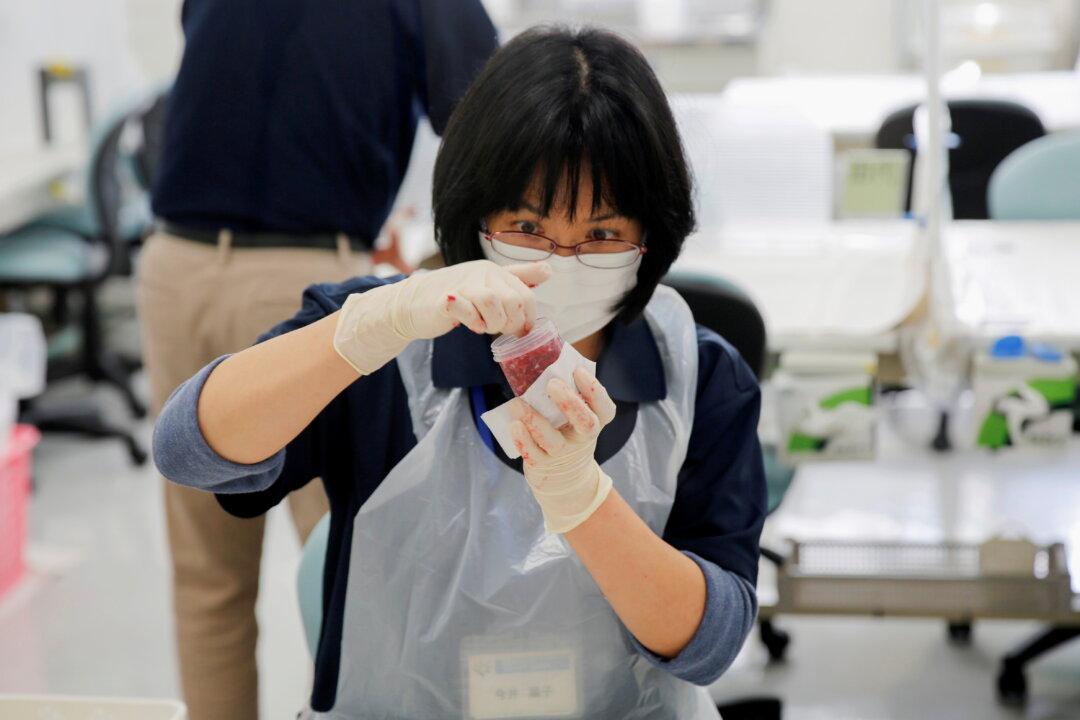 A Decade On, Fukushima Farmers Fear Nuclear-Tainted Water’s Impact on Business
