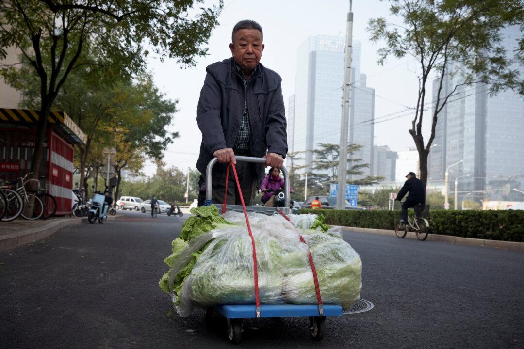 Beijing Residents Stock Up on Cabbages in Uncertain Times