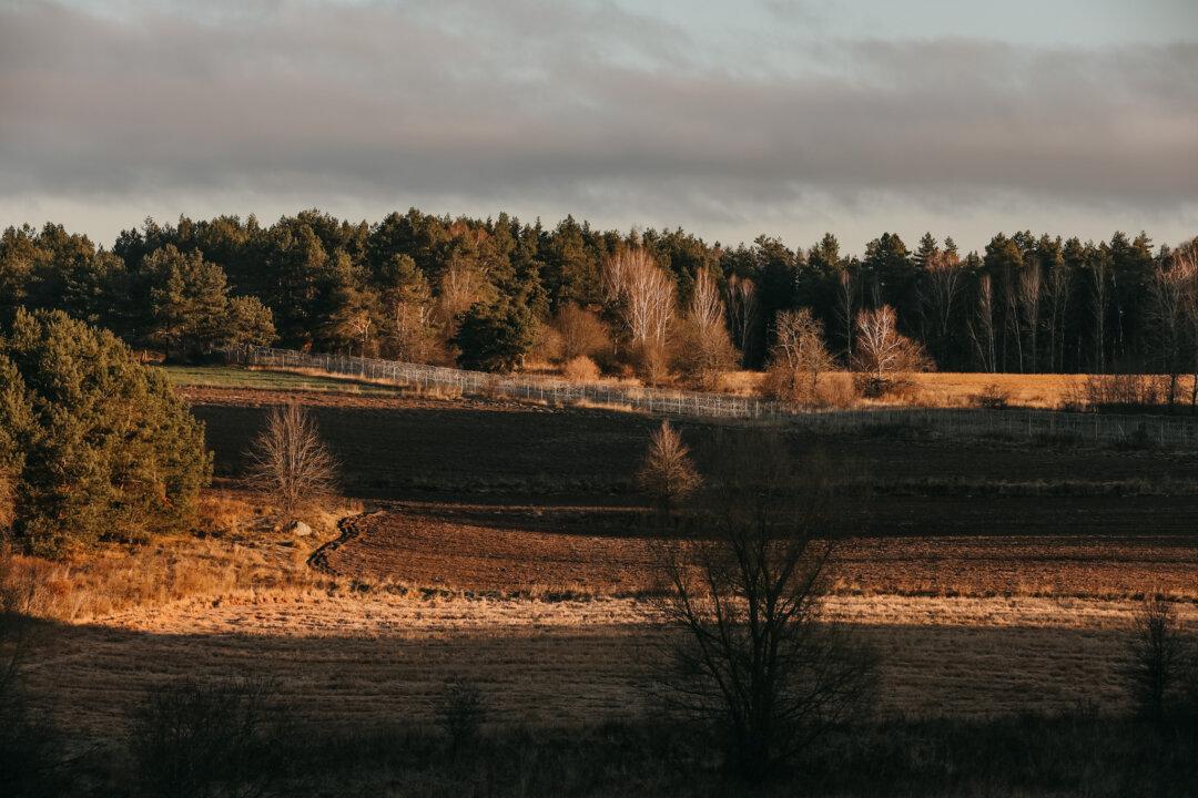 EU Toughens Visa Process for Belarus Officials Over Migrant Crisis