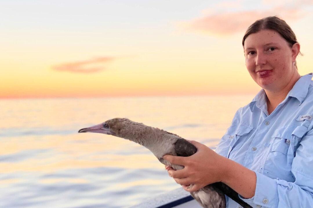 How a Finance Professional Made a Sea Change to Research Plastic Pollution