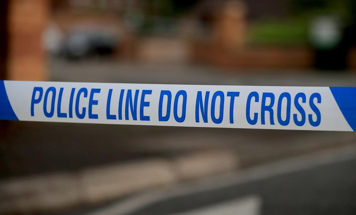 10-Year-Old Boy Killed by Dog in South Wales