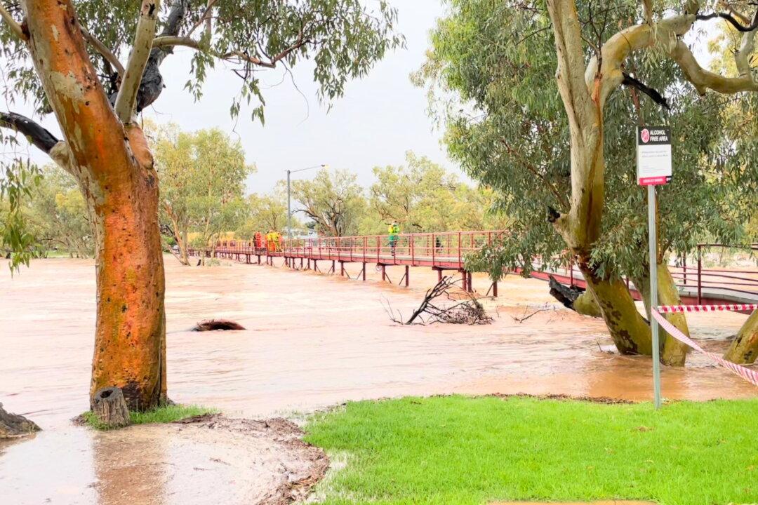Man Clings to Tree in Australia for 6 Hours After Floodwaters Sweep Car Off Road