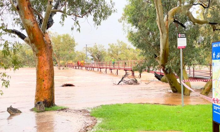 Man Clings to Tree in Australia for 6 Hours After Floodwaters Sweep Car Off Road
