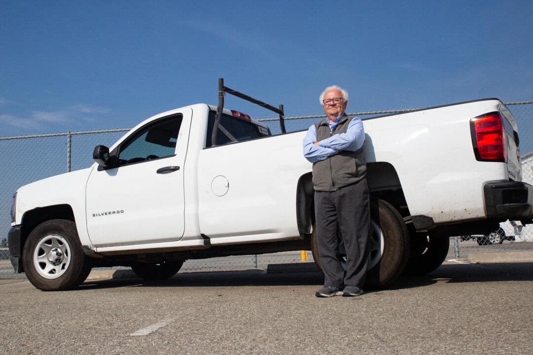 The Lion and The Mule: Volunteering During the Pandemic