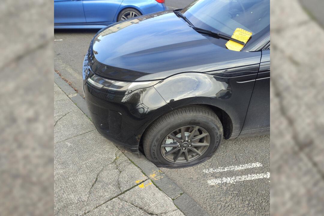 Climate Activists Deflate Tyres of ‘Luxury’ Cars in Carbon Emissions Protest