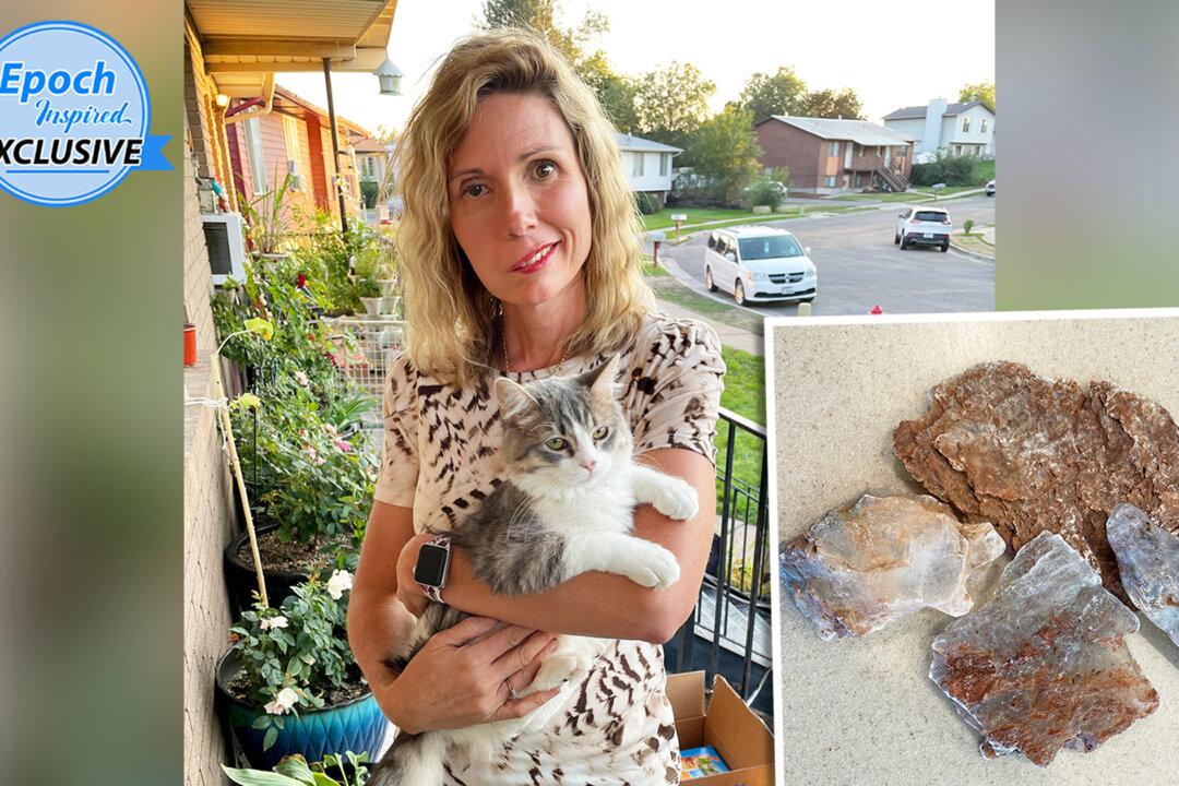Brain Tumor Survivor’s Gesture Helps Little Girl Selling Rocks to Pay for Cat Food