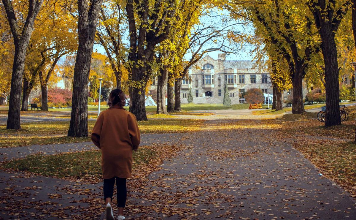 Is the Pervasiveness of Woke Ideology Fostering Racial Fakery?