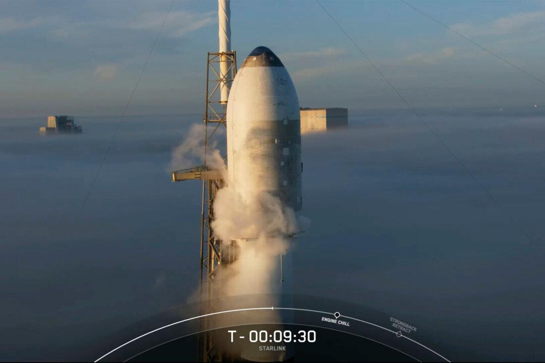 Another Australian Telco Signs With Elon Musk’s SpaceX