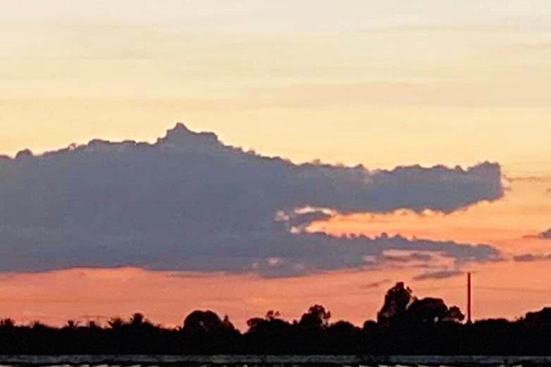 PHOTO: Florida Woman Spots Alligator-Shaped Cloud in Sunset While Driving Home From Work