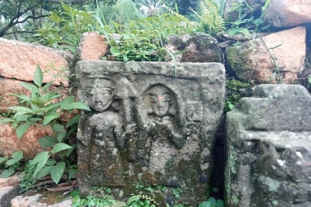 Historical Ruins of Ancient City in India Need Preservation: Expert