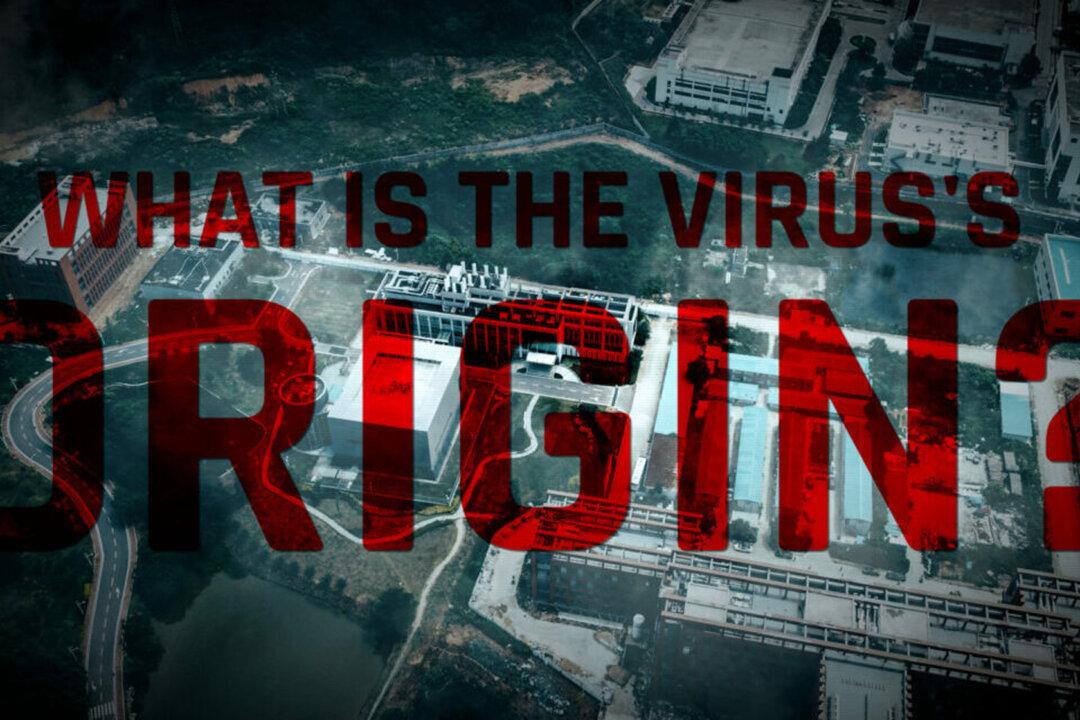 Documentary Review: ‘Hunt for the Virus Origin’