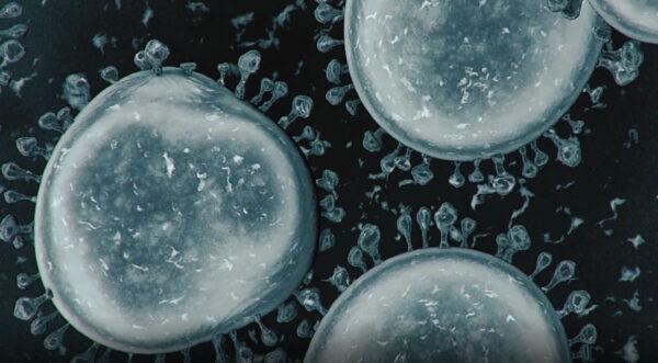 “Hunt for the Virus Origin” (NTD TV)