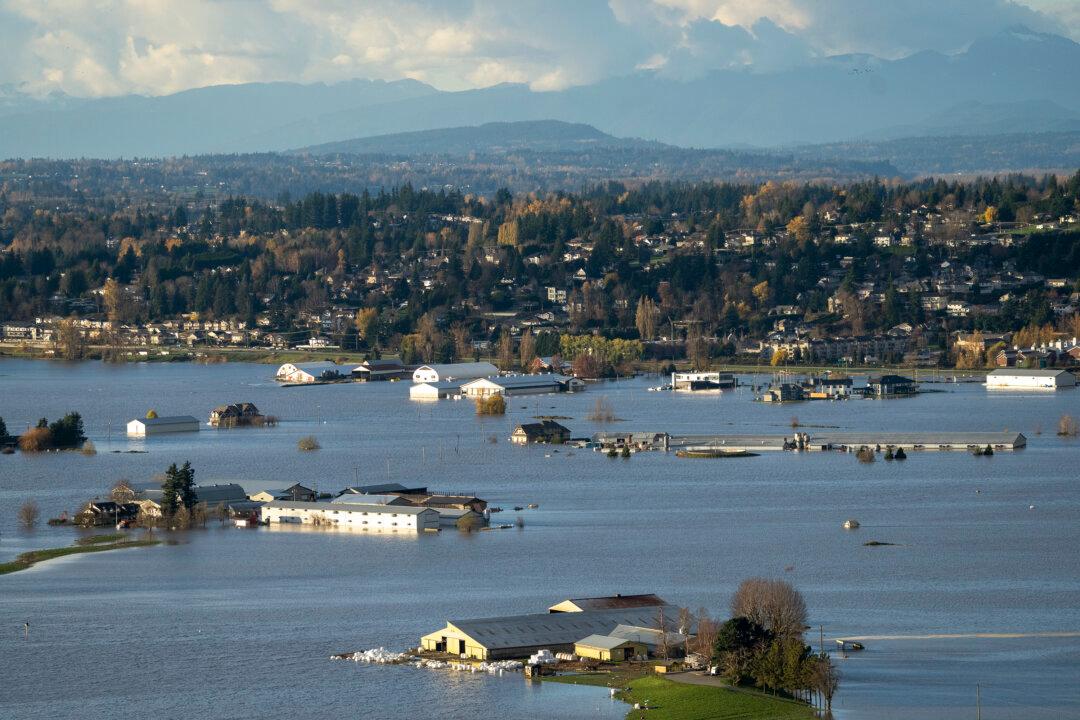 Flooding in BC ‘Testing the Resilience’ of Dairy Farmers, Says Association